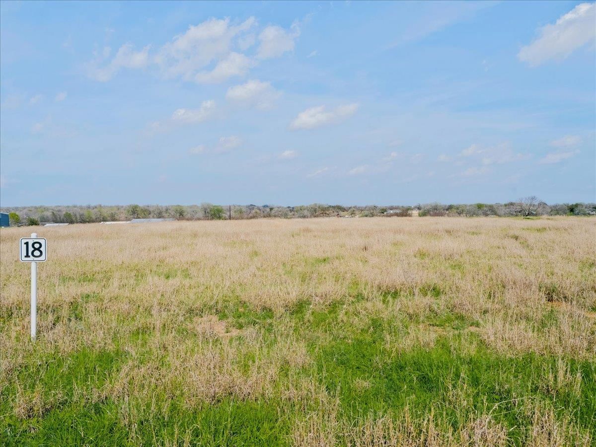 TBD County Road 240 DR - Photo 1