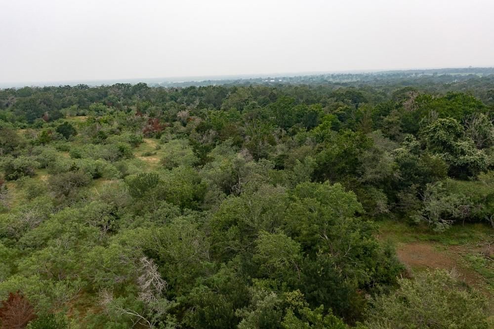 LOT 2 Private Road 4601 - Photo 1