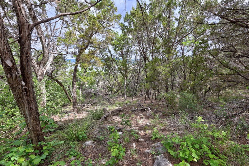 Property photo 31