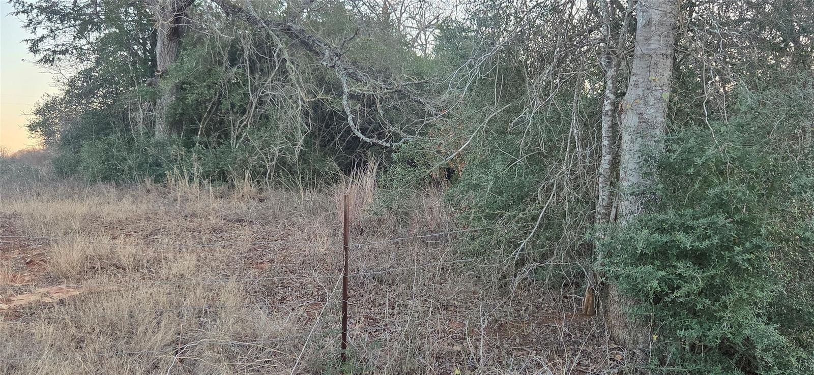 314 County Road TBD RD - Photo 1