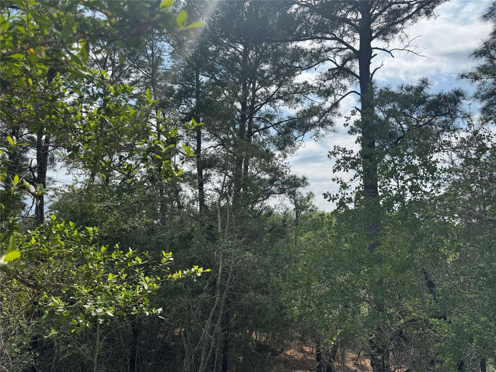 Lot 1263 Hanauma DR, Alum Creek, TX, 78602