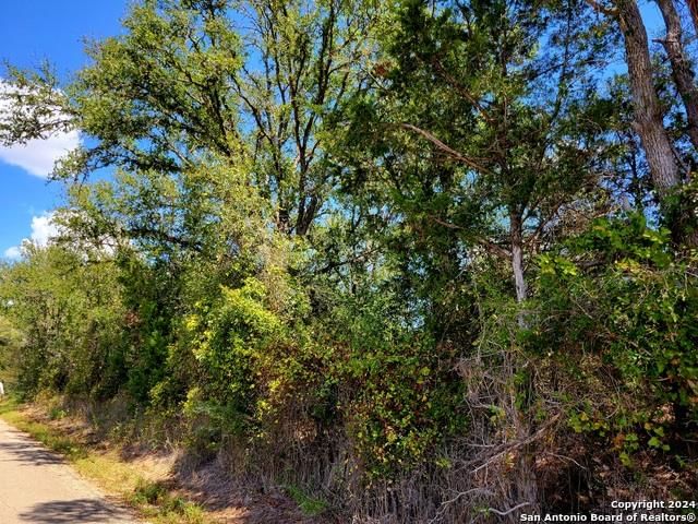TBD Dale Ln LN - Photo 1