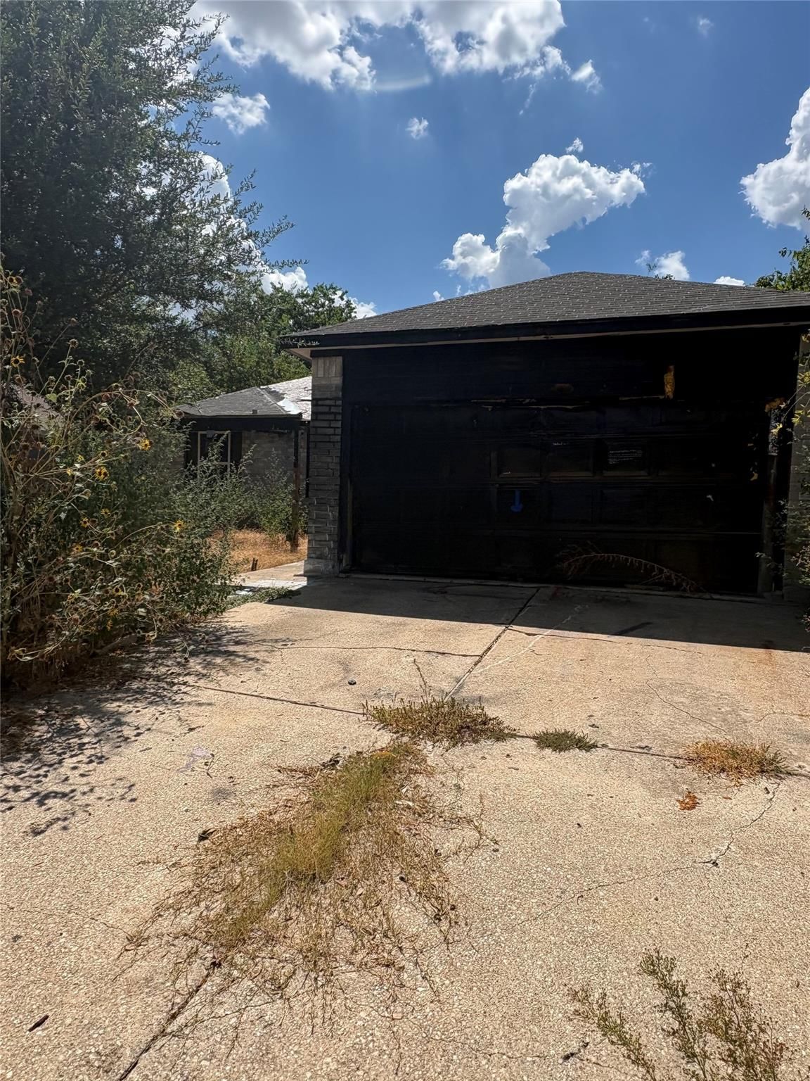 205 Barberry DR - Photo 1