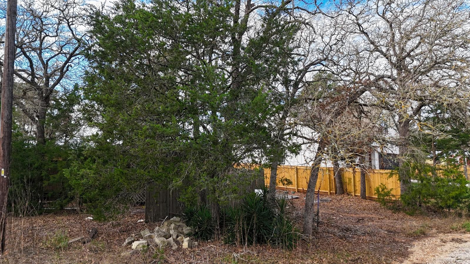 115 Eaglenest CT - Photo 1