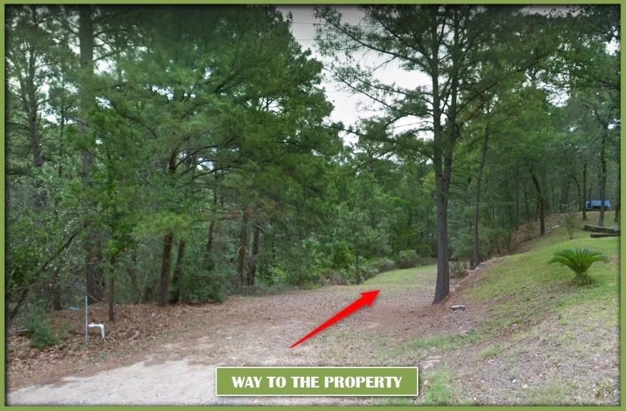 0 Pahalawe LN - Photo 1