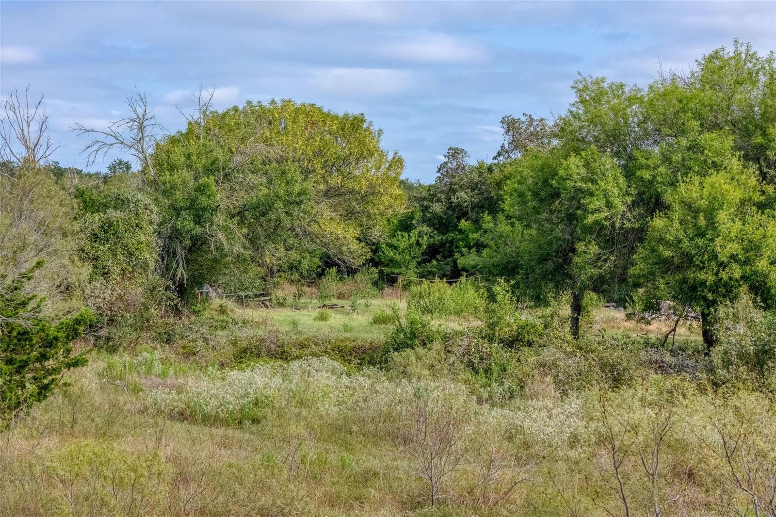 296 Thompson RD - Photo 1