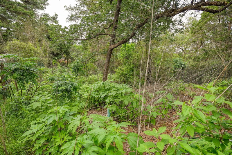 Property photo 37