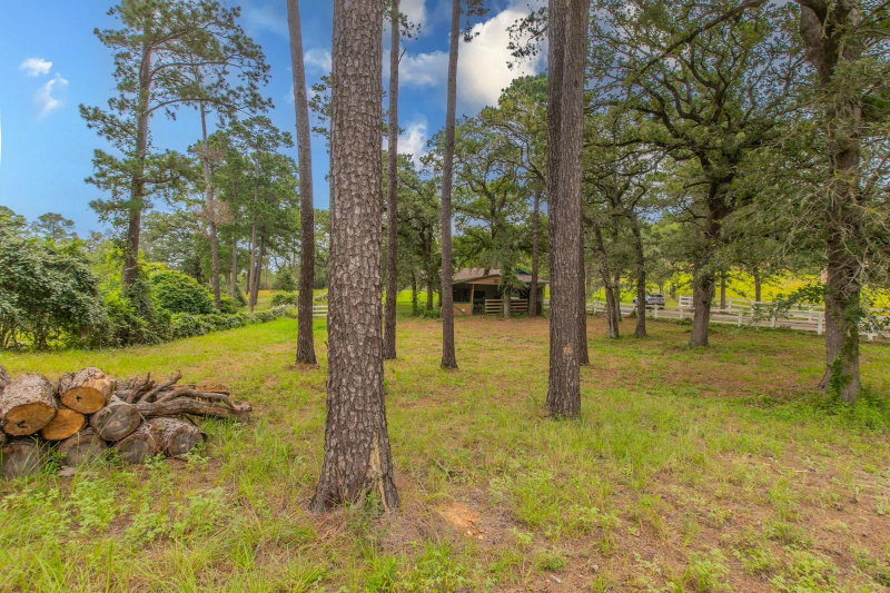 Property photo 24
