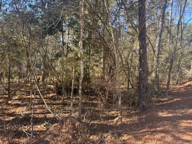 00 Sycamore DR - Photo 1