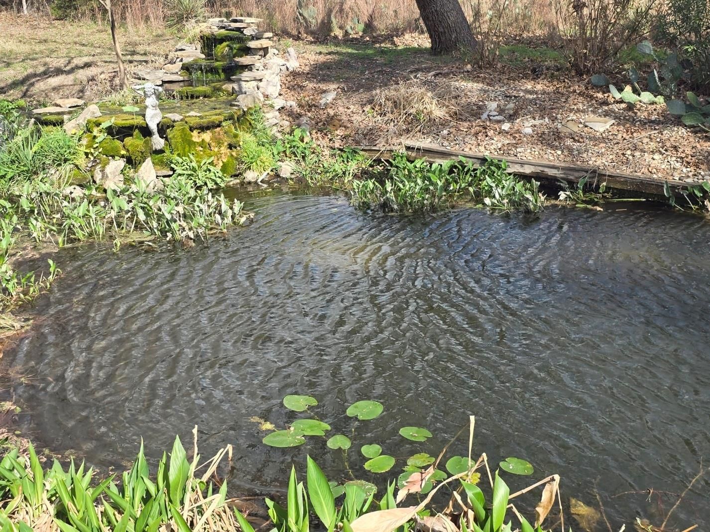 Photo 39