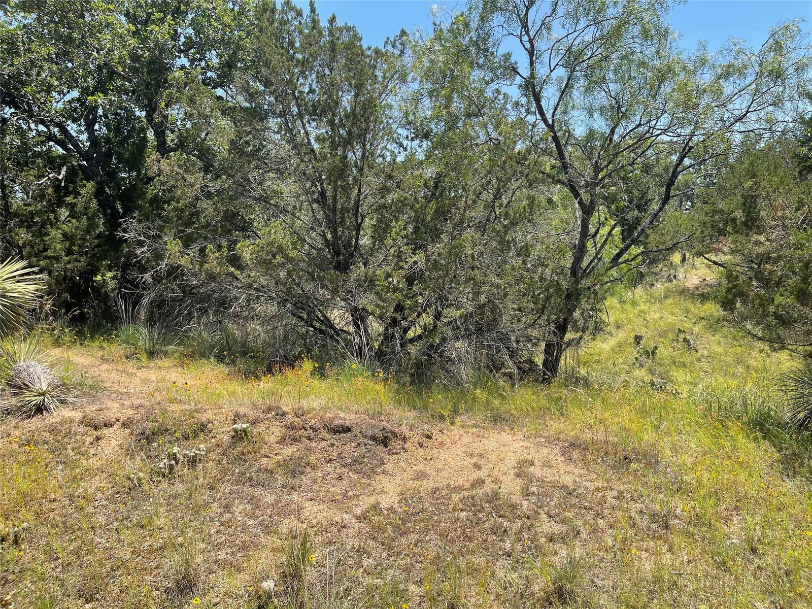 Photo 33
