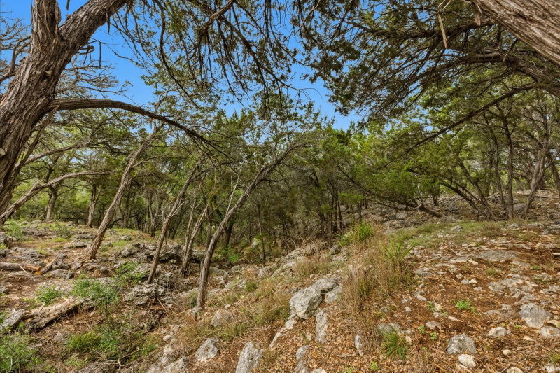Property photo 21