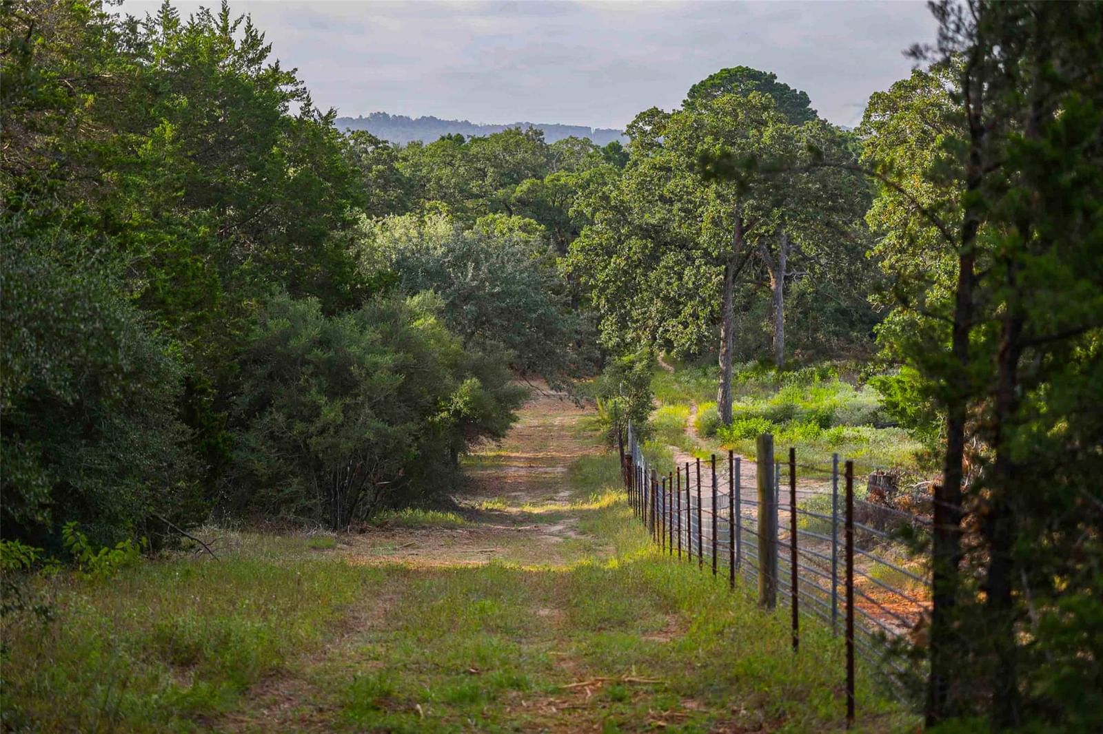 TBD Stiewert Lane - Photo 1