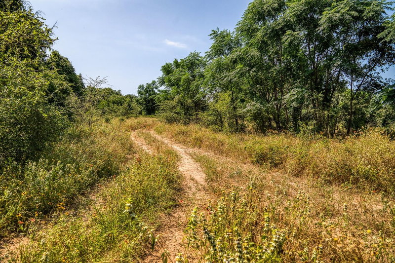 Property photo 16