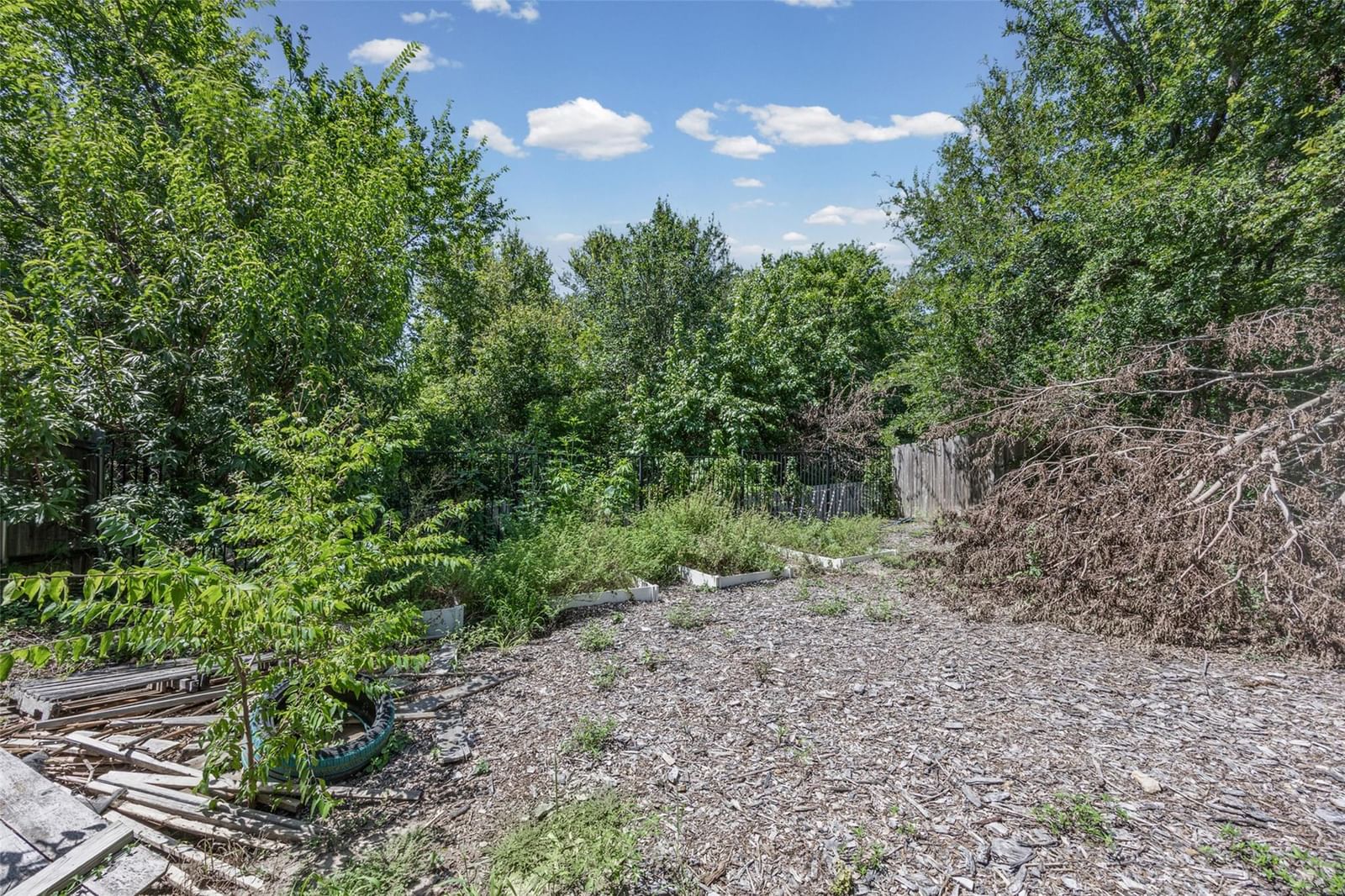 Photo 32