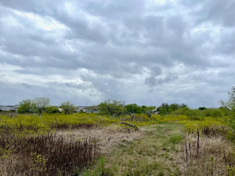 Property photo 13