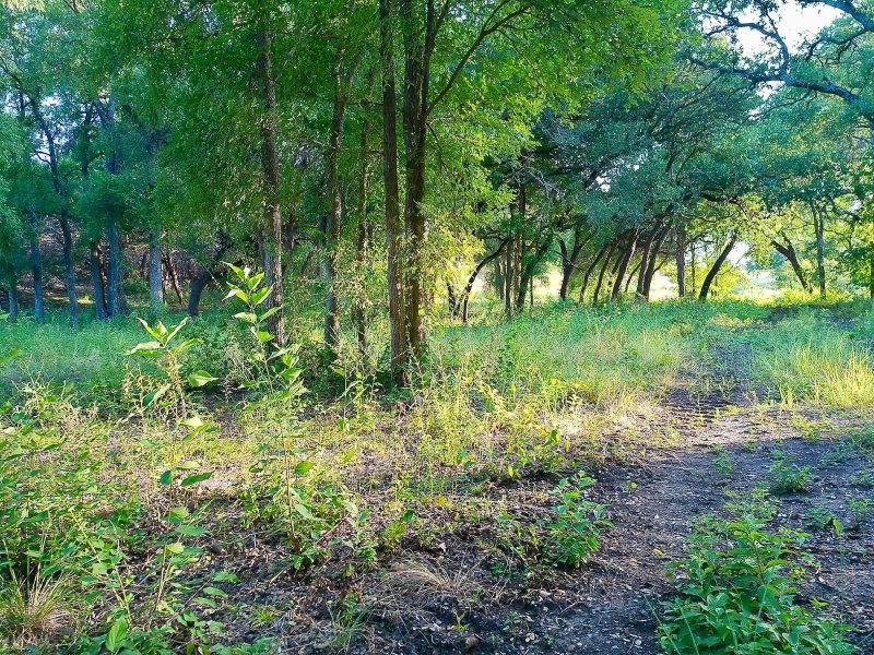 Property photo 16