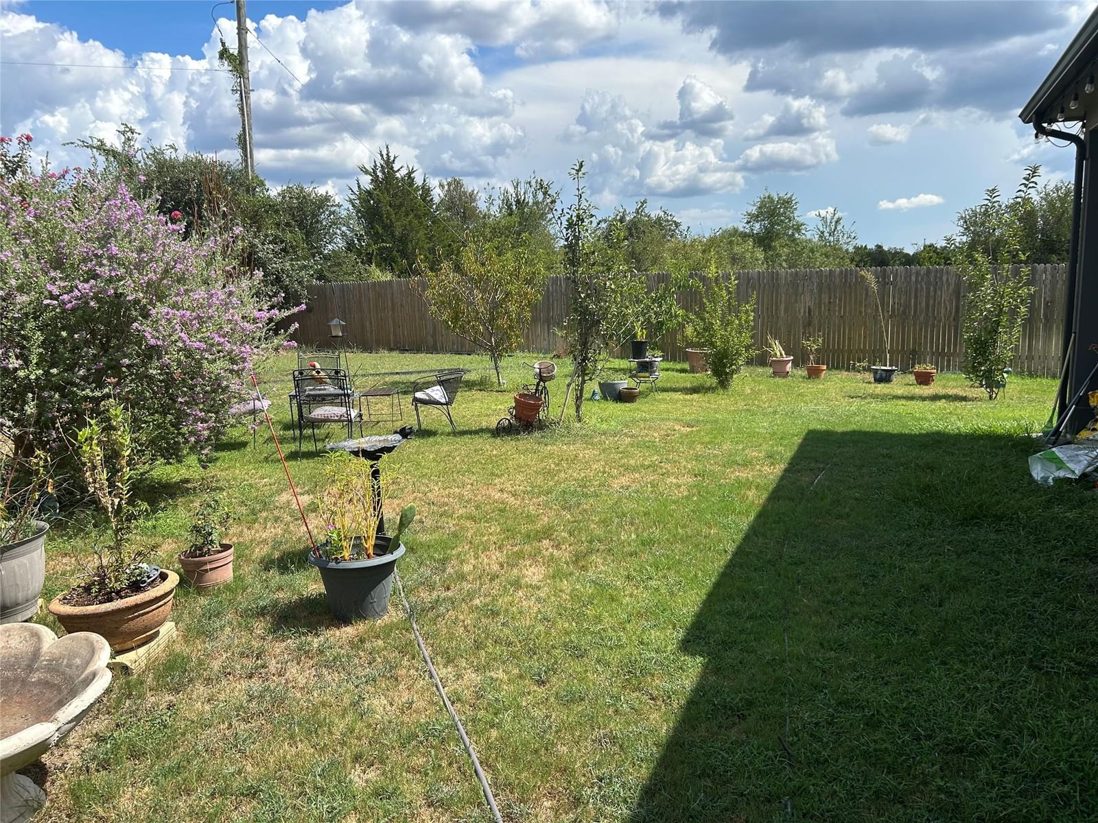 Photo 29