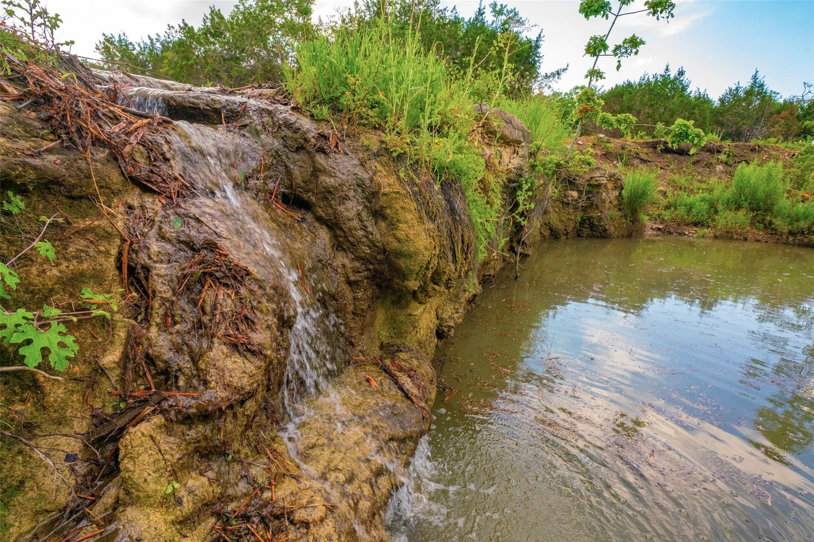 0 Spring Haven Ranch - Photo 1