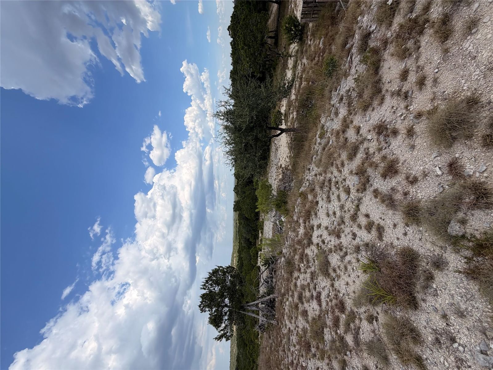 800 Rolling Hills DR - Photo 1