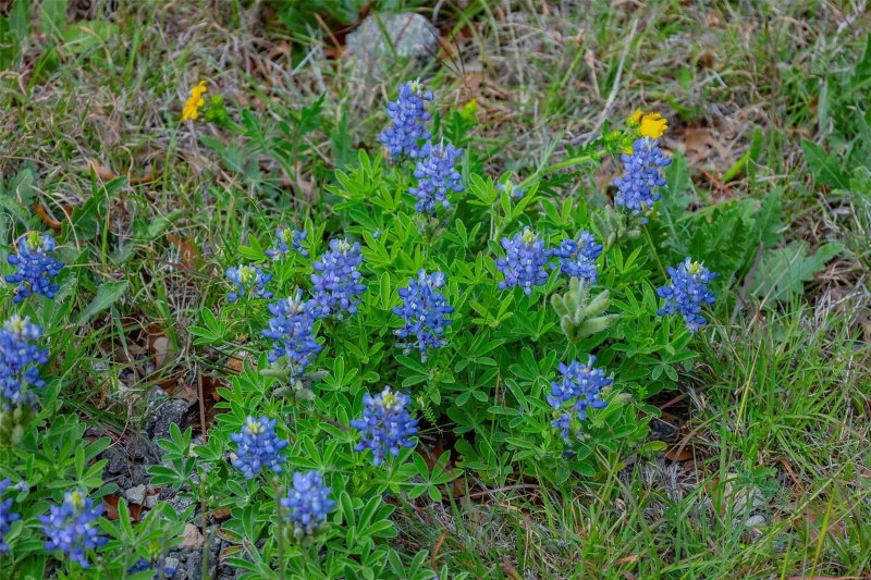 Property photo 33