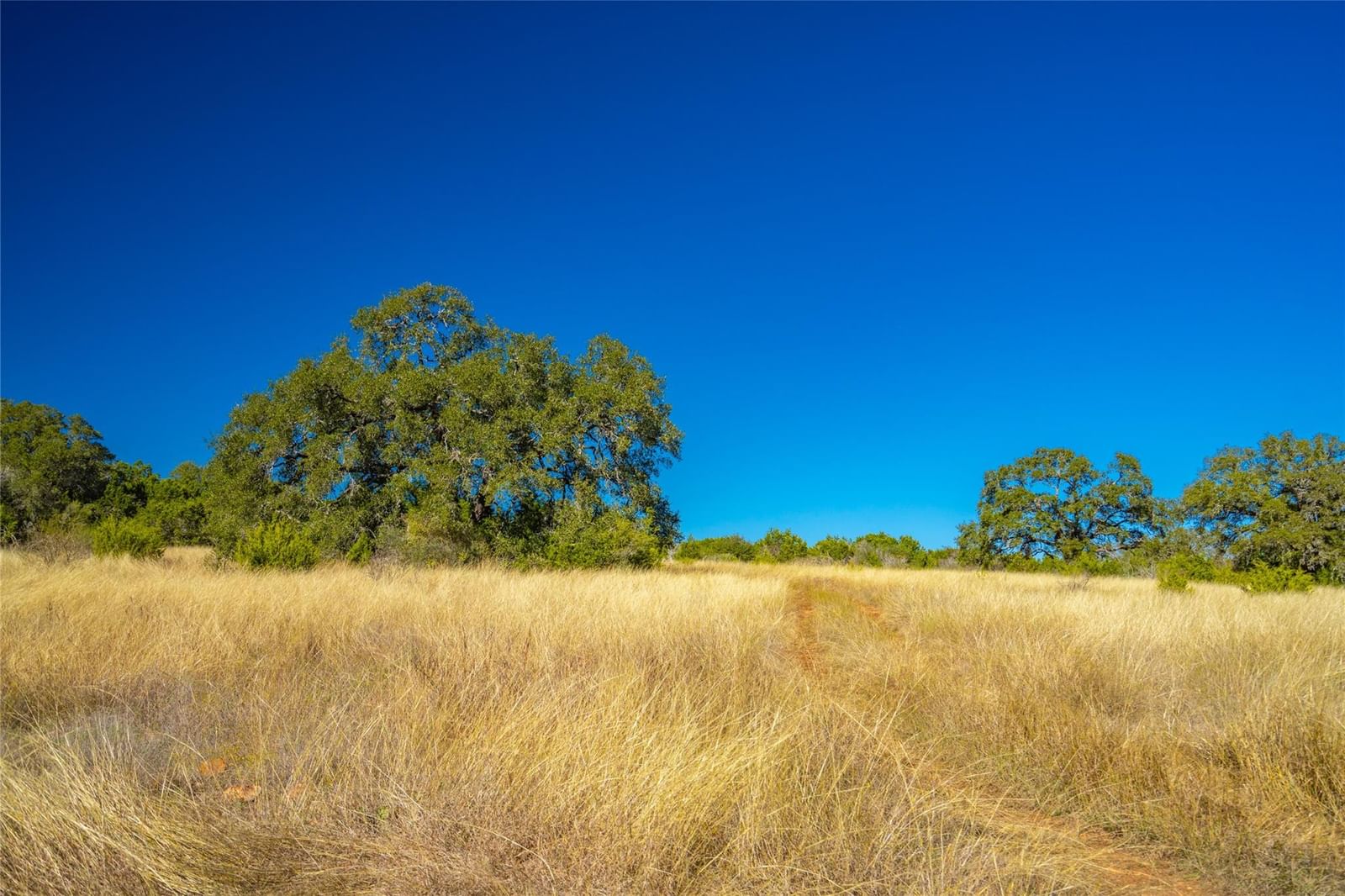 0 Quail Run DR - Photo 1
