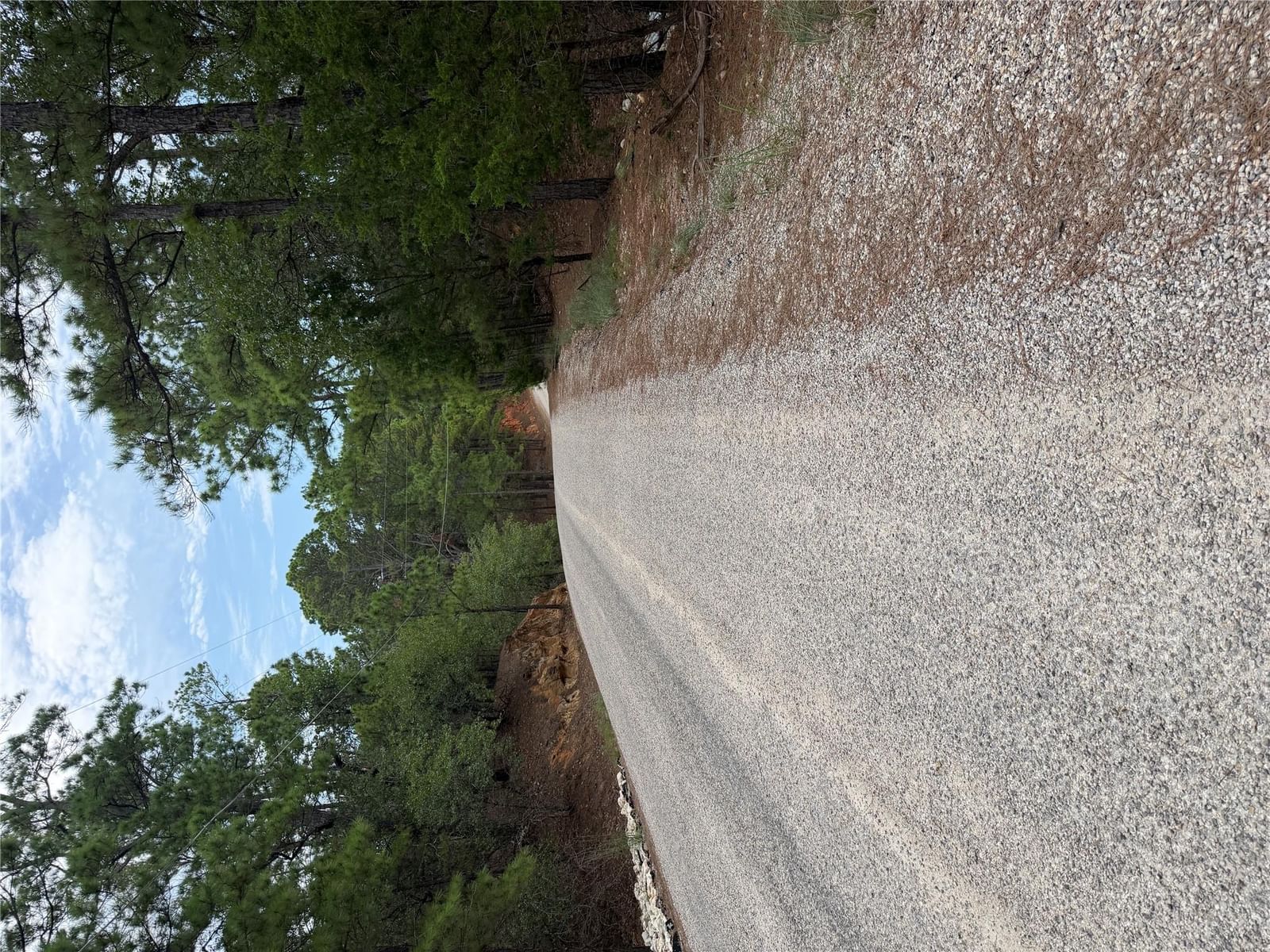Lot 216 Hekili DR - Photo 1