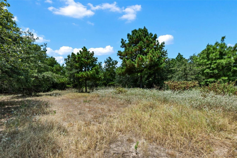 Property photo 36