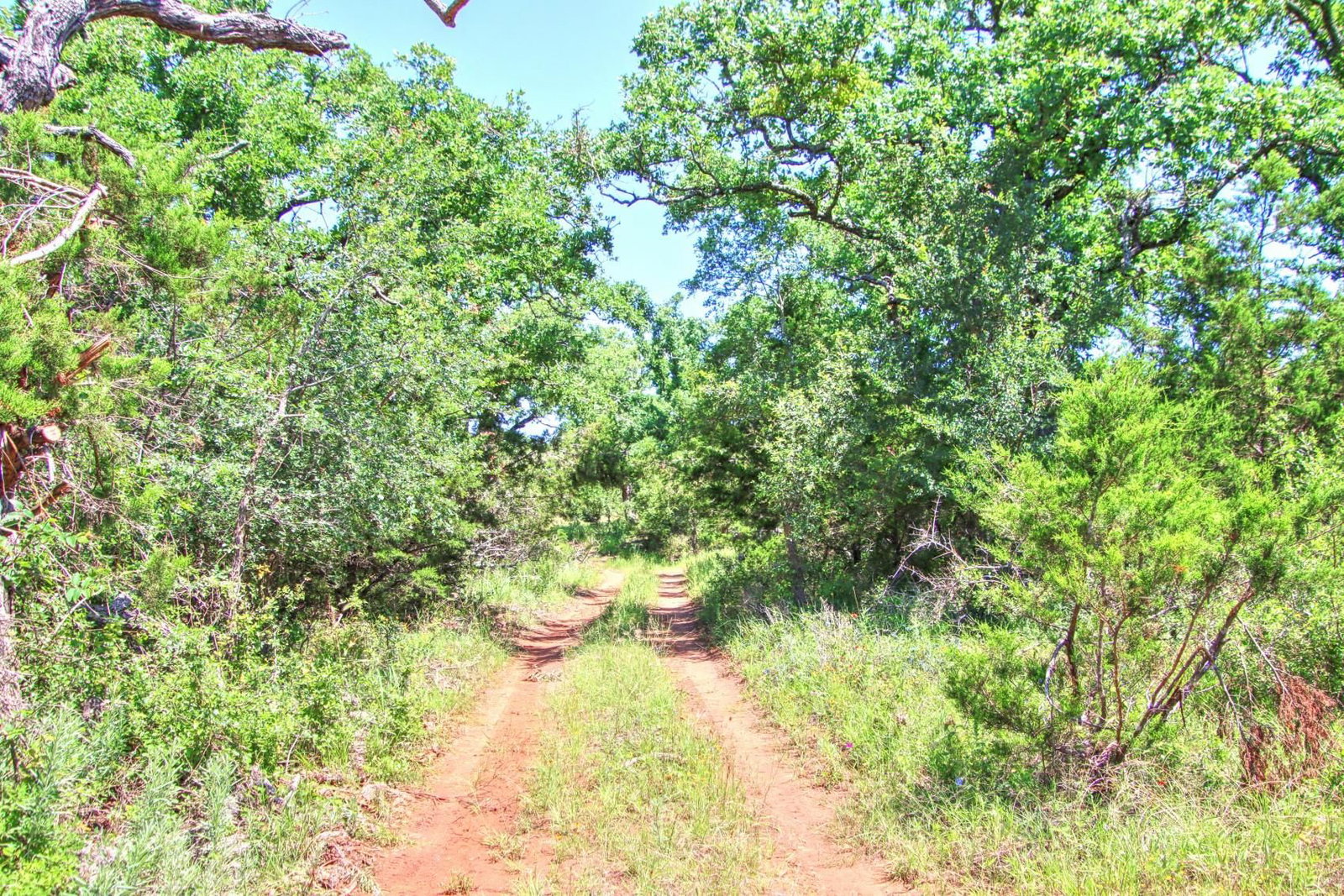 Lot 6 RM 1323 - Photo 1