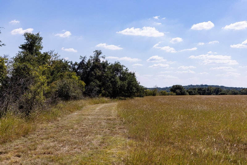 Property photo 24