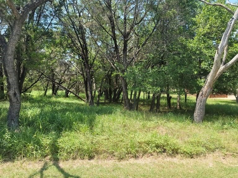 35060 Oak Forest DR - Photo 1