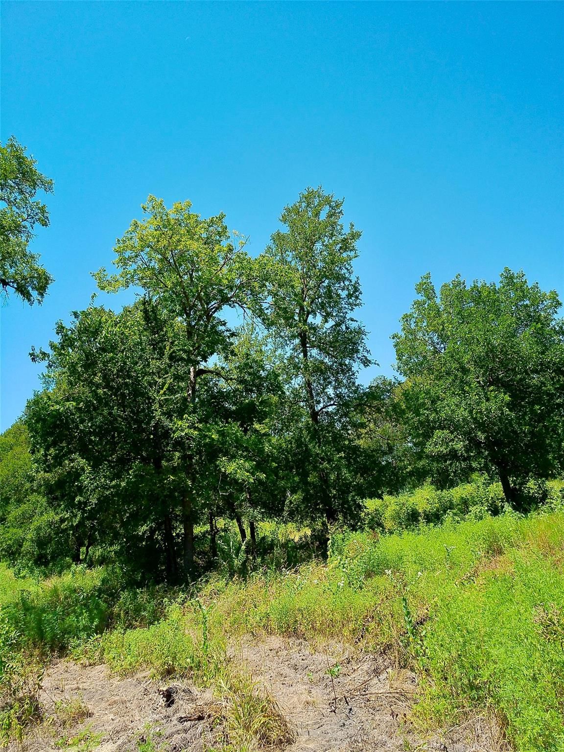 Lot 22 Serenity DR - Photo 1