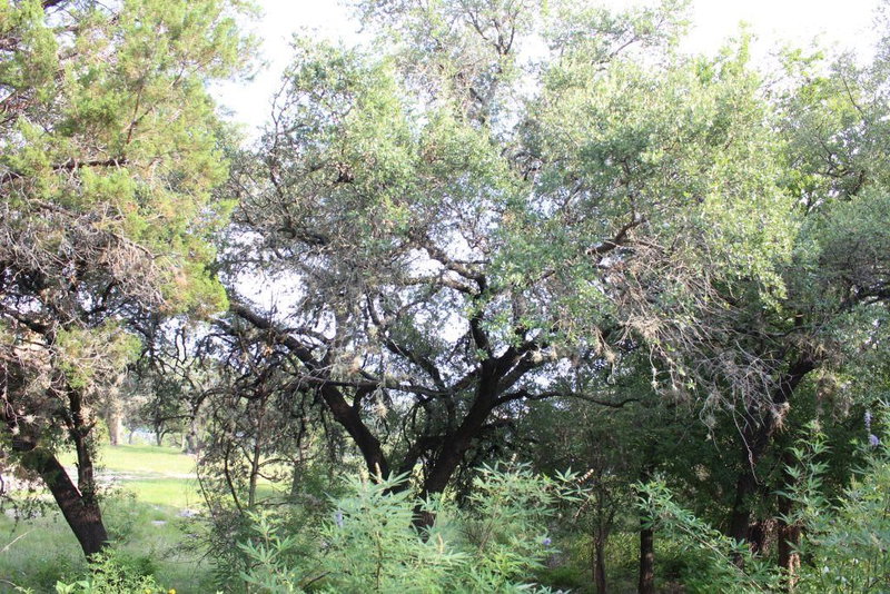 Property photo 18