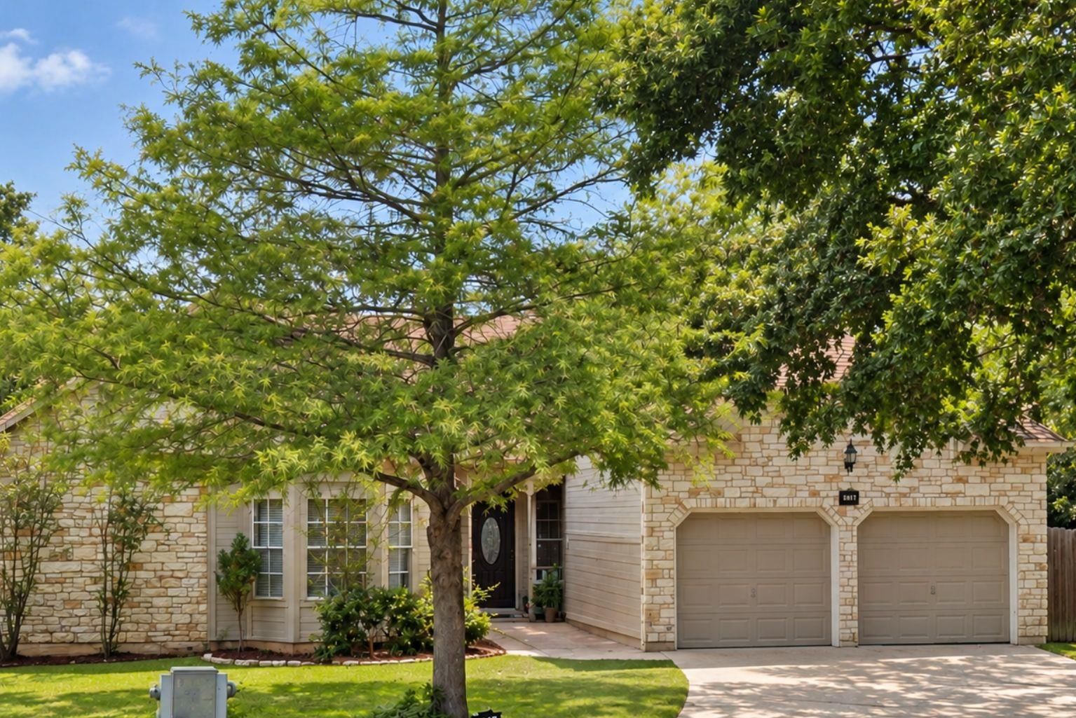 705 Sapling CV - Photo 1
