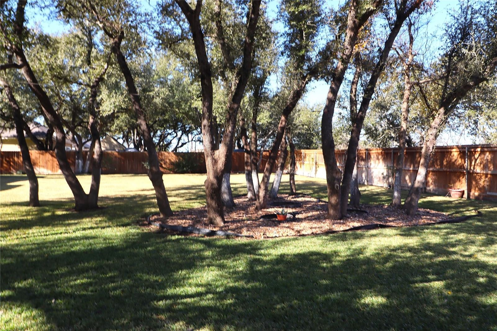Photo 35