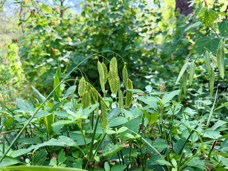 Property photo 21