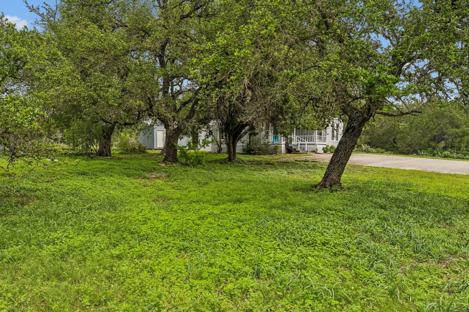 Photo 25
