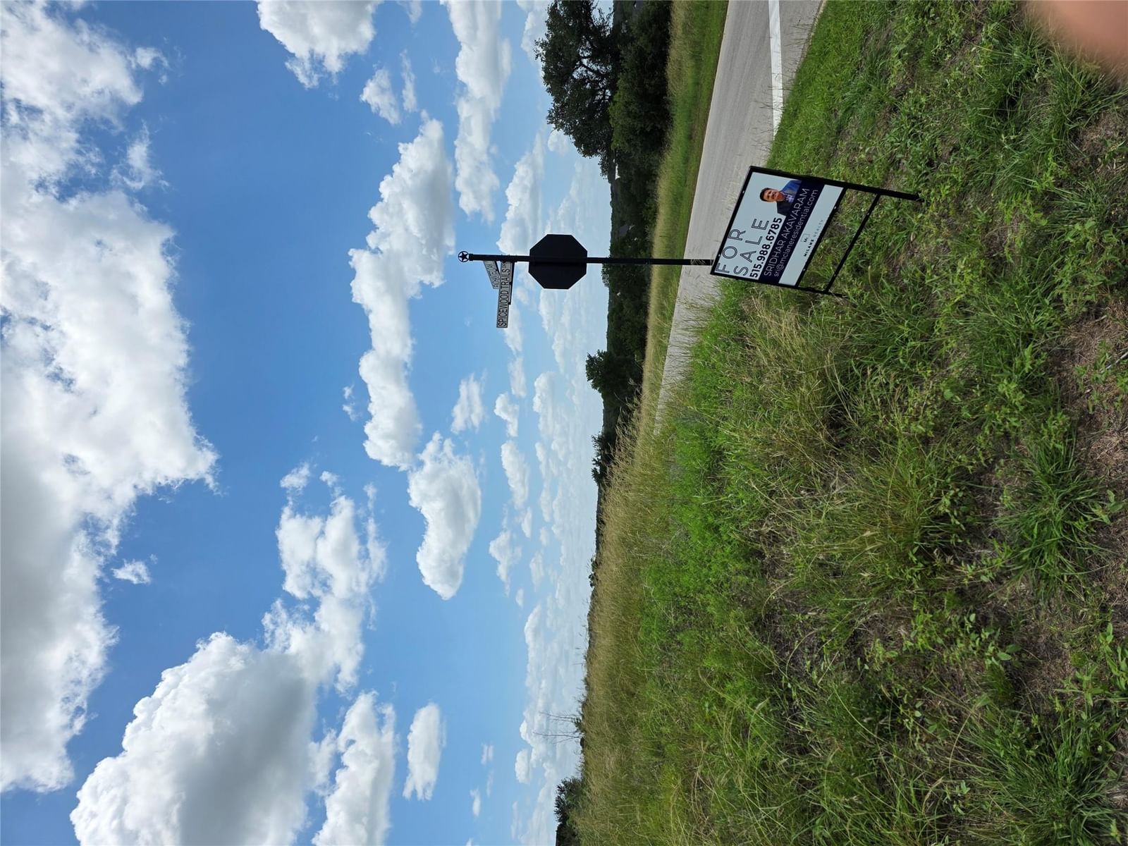 LOT 206 Enchanted Oak PT - Photo 1
