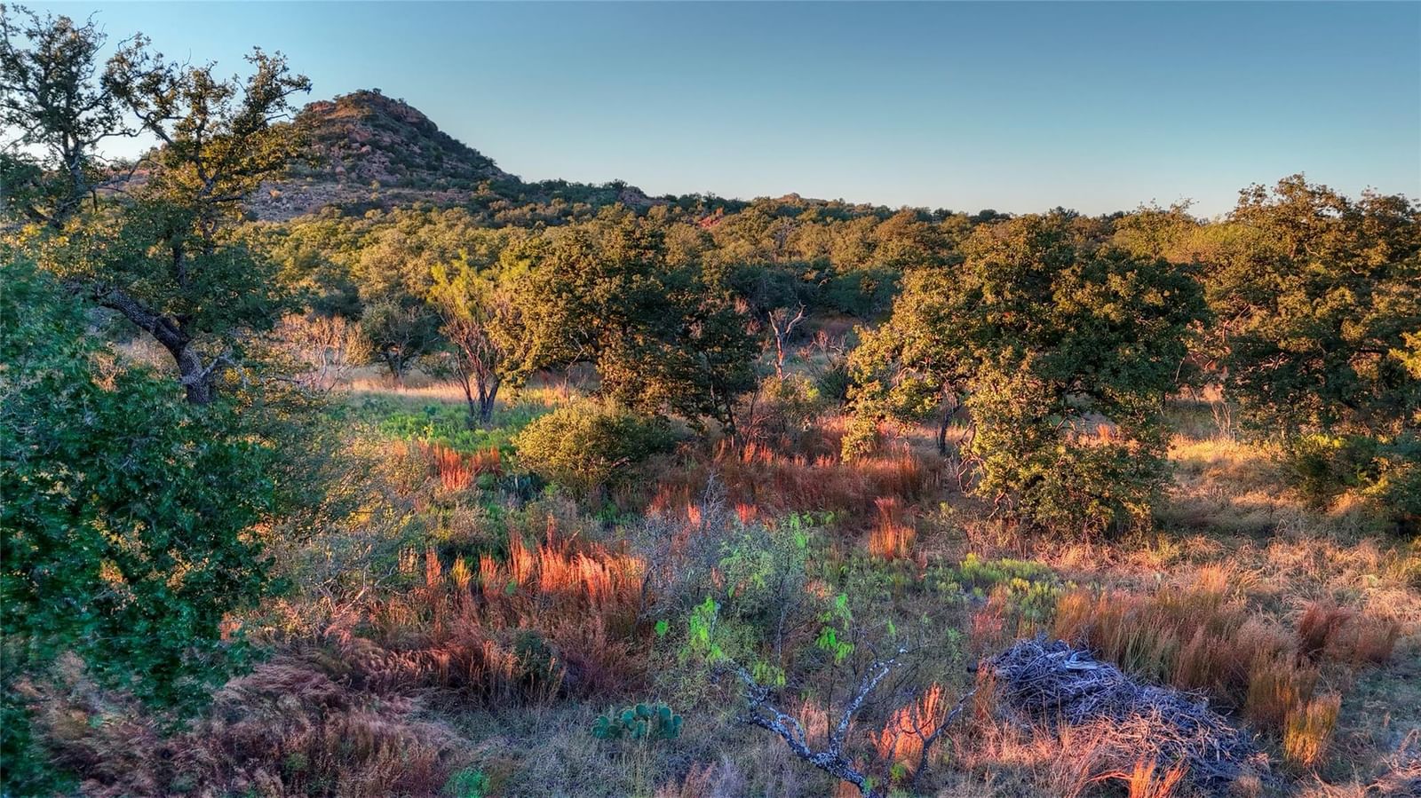 18248 Bode Peak RD - Photo 1