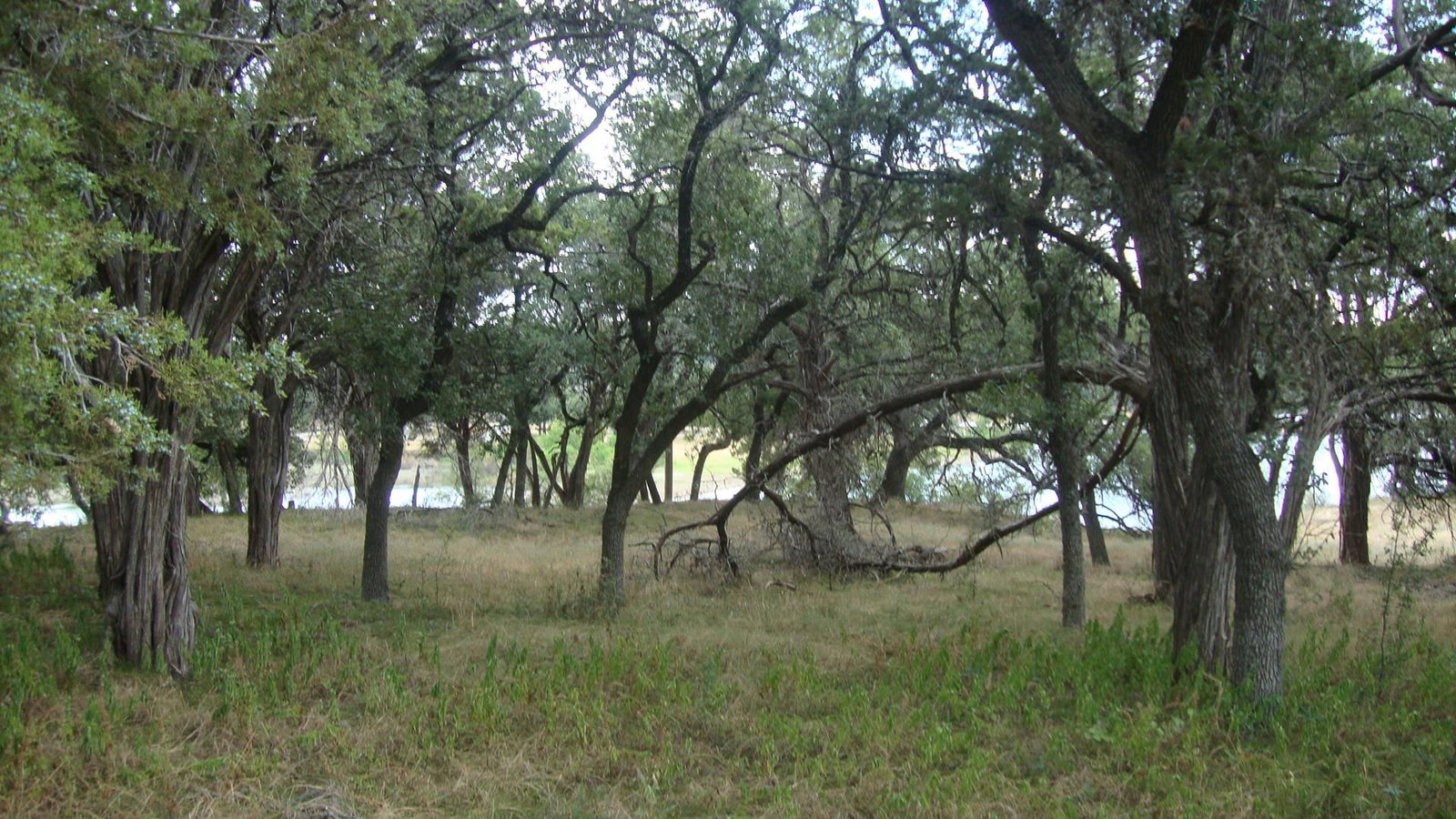 6703 Bar K Ranch RD - Photo 1