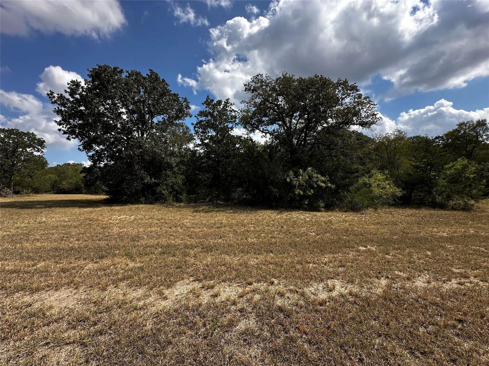 1535 Old Colony Line RD - Photo 1