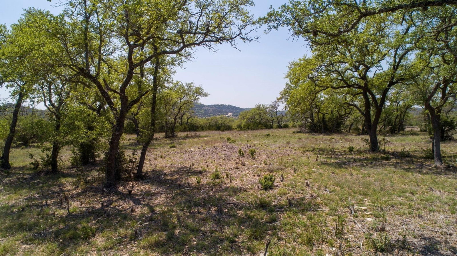 101 Bluff Ridge TRL - Photo 1