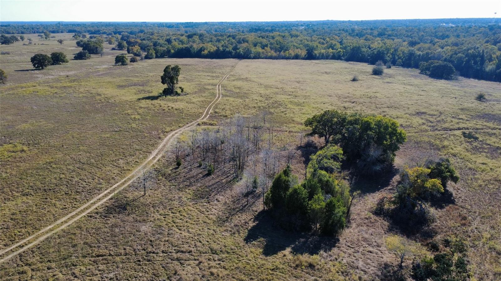196 Brinkley LN - Photo 1