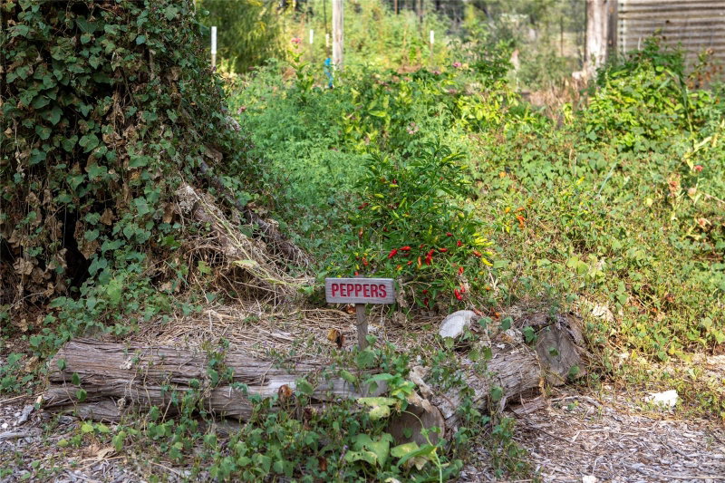 Property photo 31