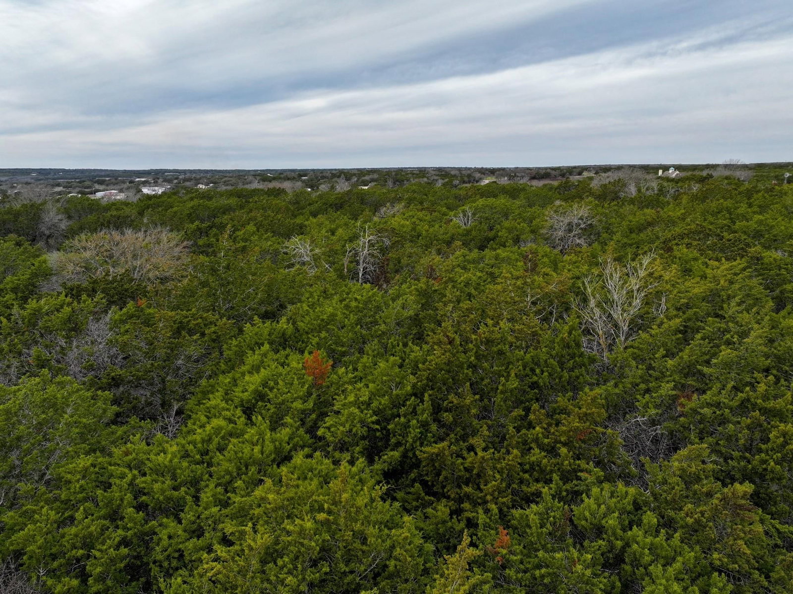000 Rocky Ridge DR - Photo 1