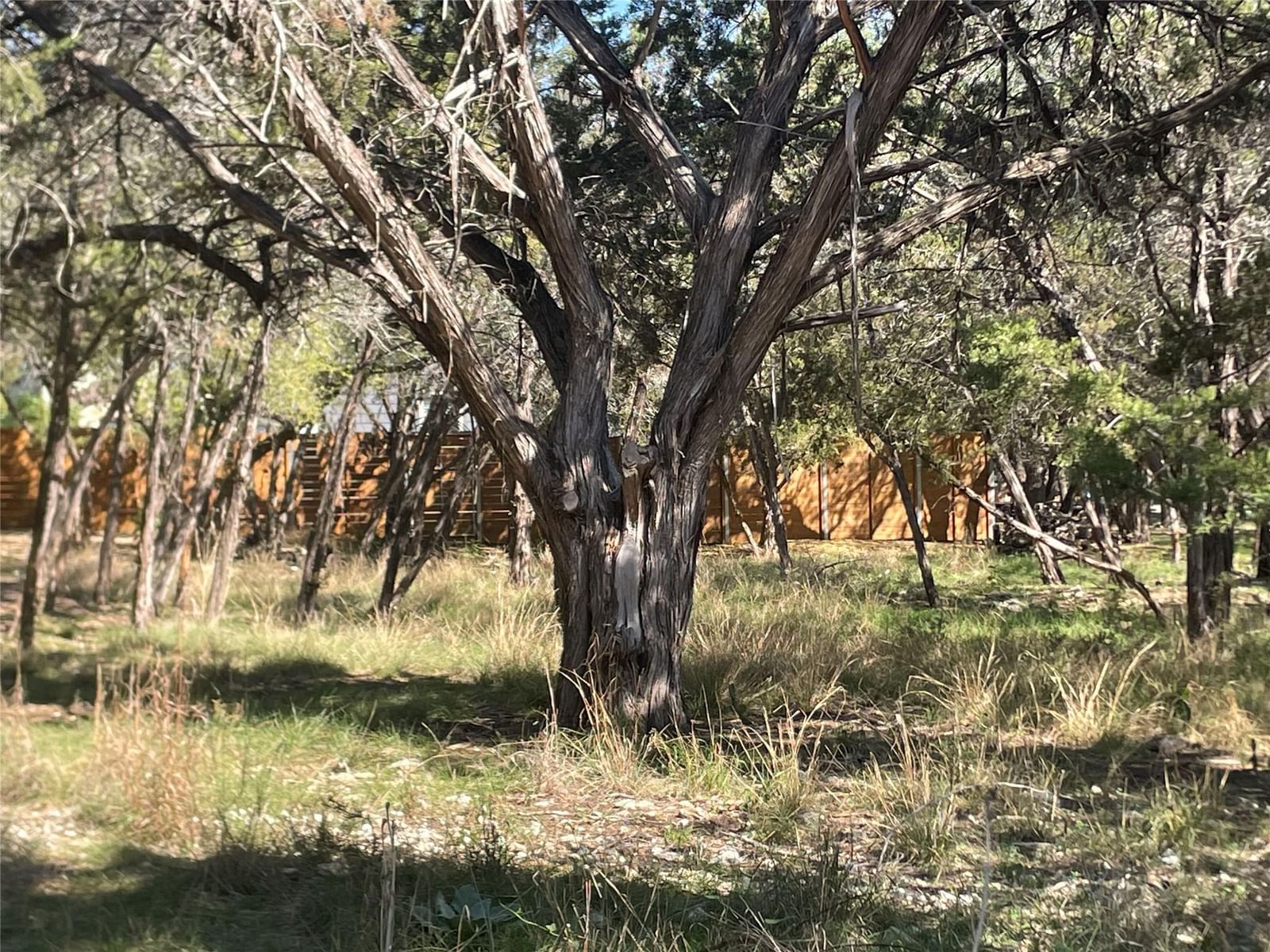 301 Augusta CV - Photo 1