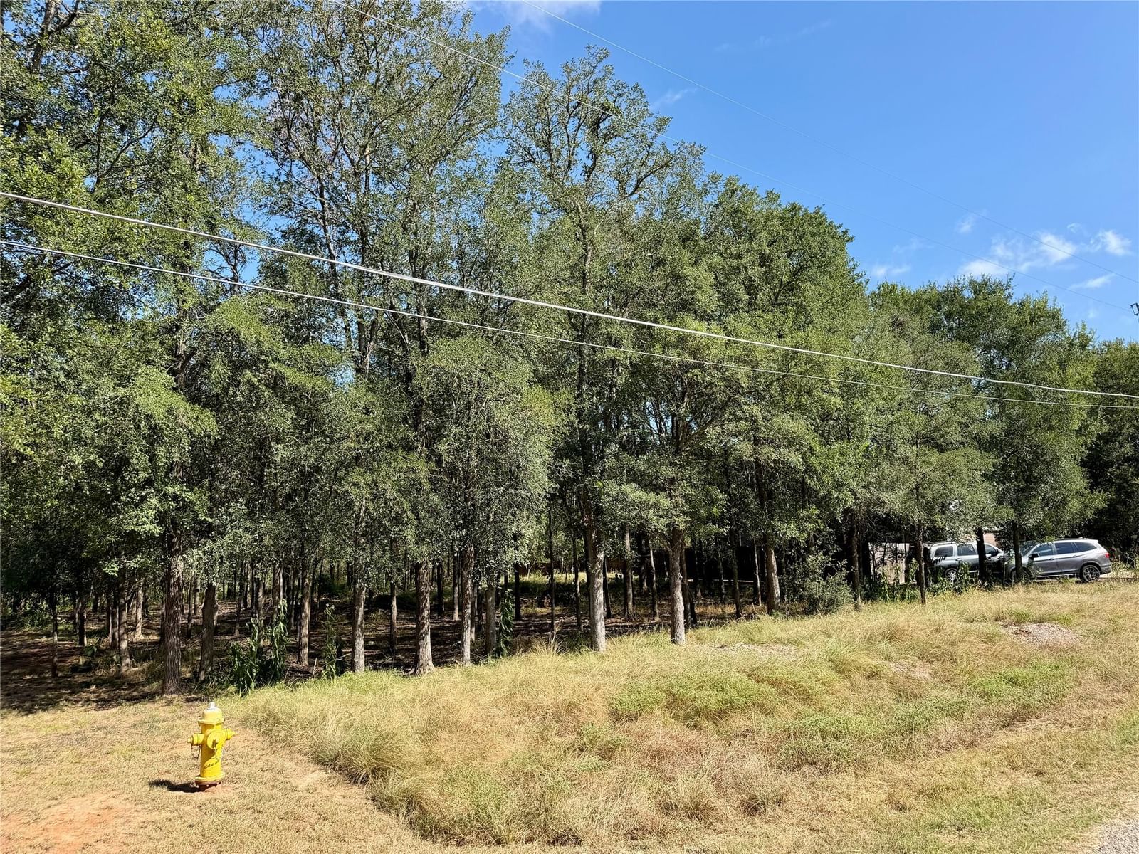 208 Waipahoehoe DR - Photo 1