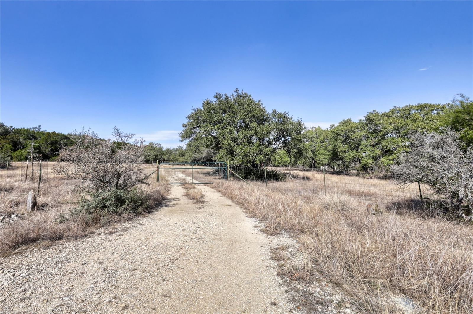 101 Purple Sage - Photo 1