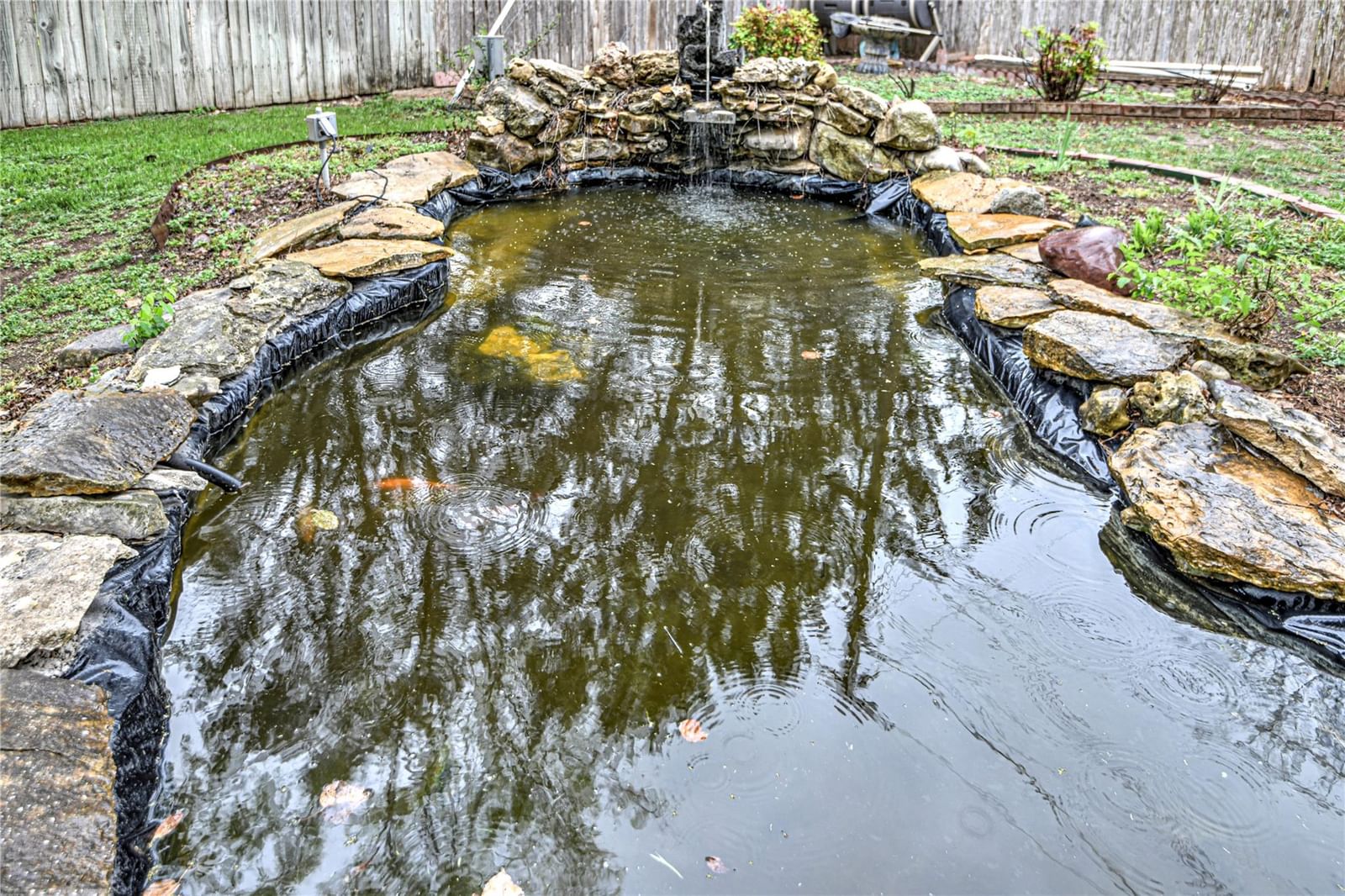 Photo 37