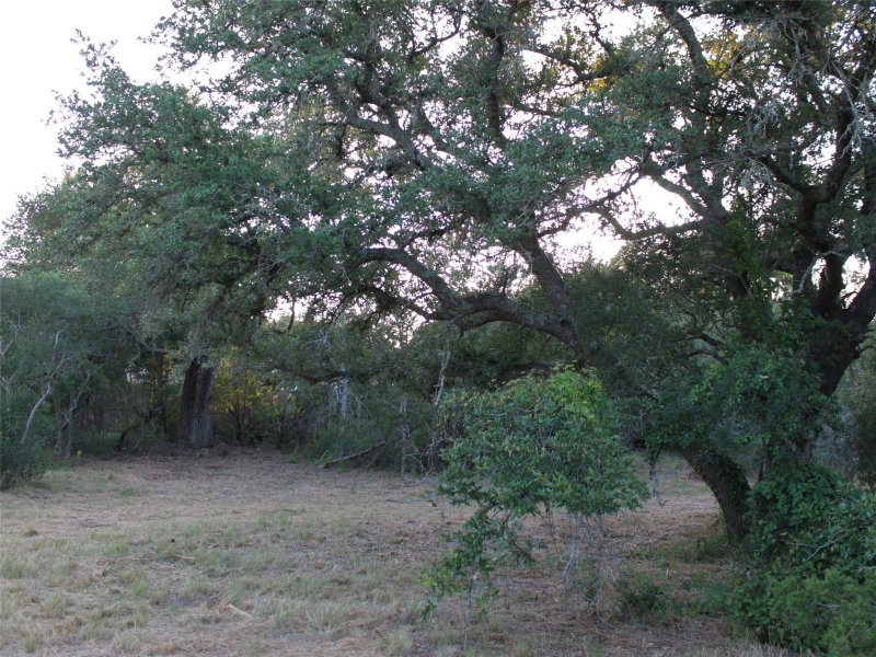 Property photo 25